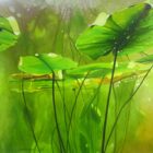 Najaarsexpositie 2025.